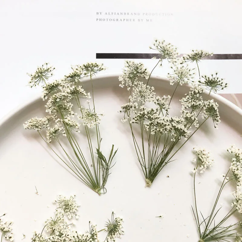 Craft Embellishment - 5-7Cm/12 Chiếc, Tuyết Hoa Nhỏ Xíu