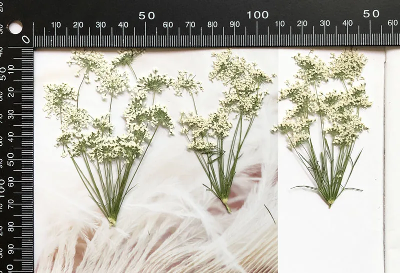 5-7Cm/12 Chiếc, Tuyết Hoa Nhỏ  - đánh giá và giá Craft Embellishment